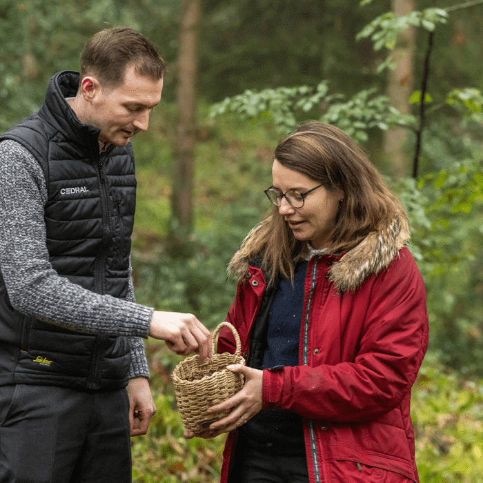 Cedral partner with the Guaranteed Irish Forest Initiative