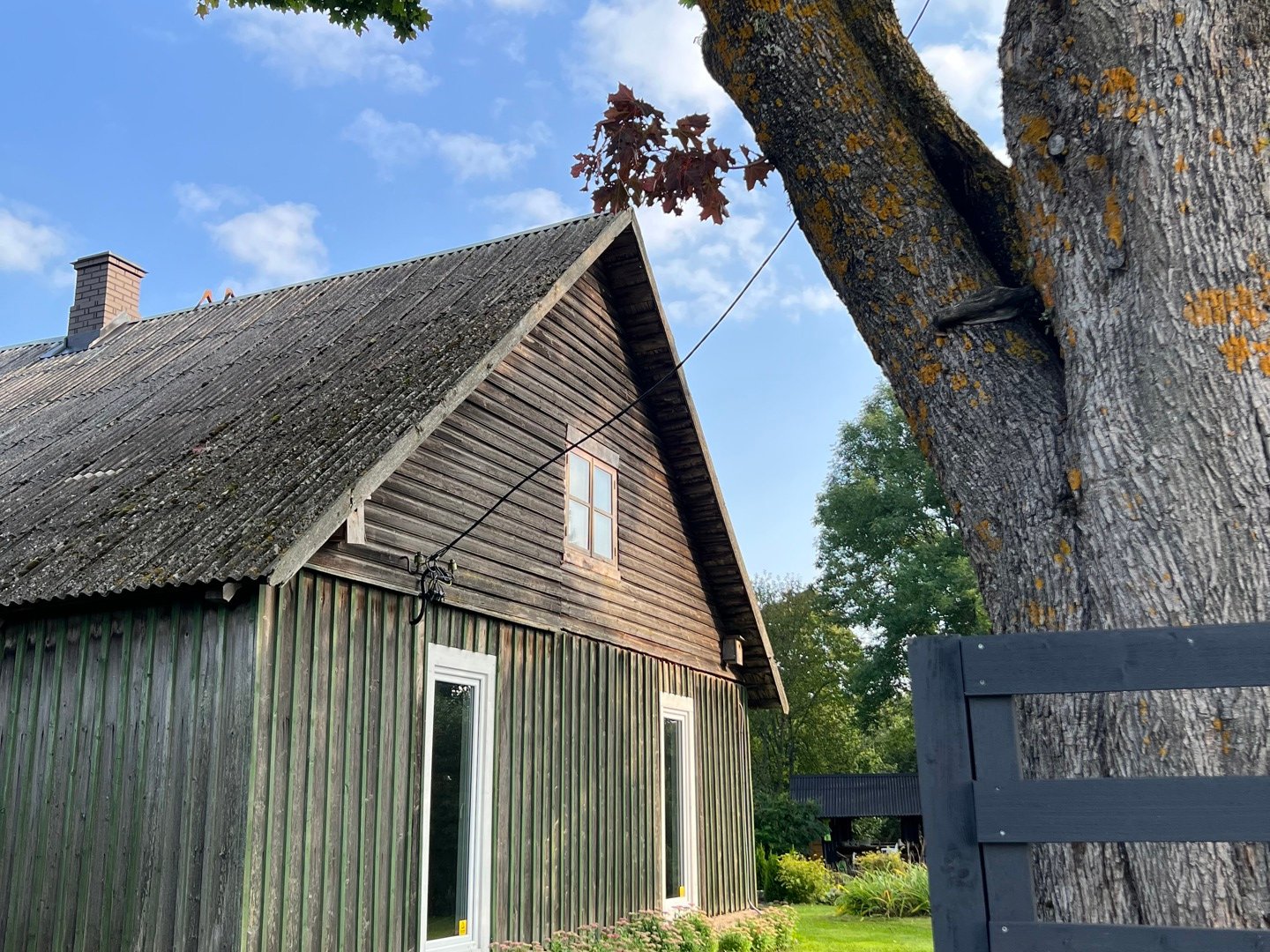 Estonia Cedral: esitleme kõige enam hääli kogunud võistleja.