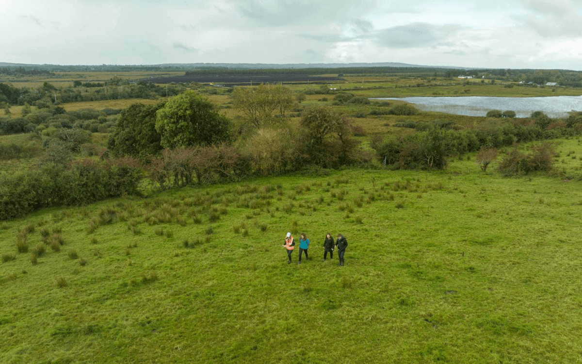 Cedral partner with the Guaranteed Irish Forest Initiative