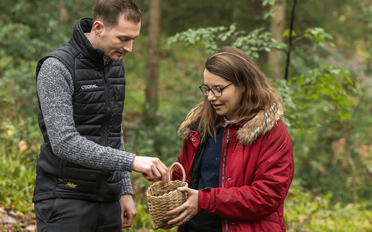 Cedral partner with the Guaranteed Irish Forest Initiative