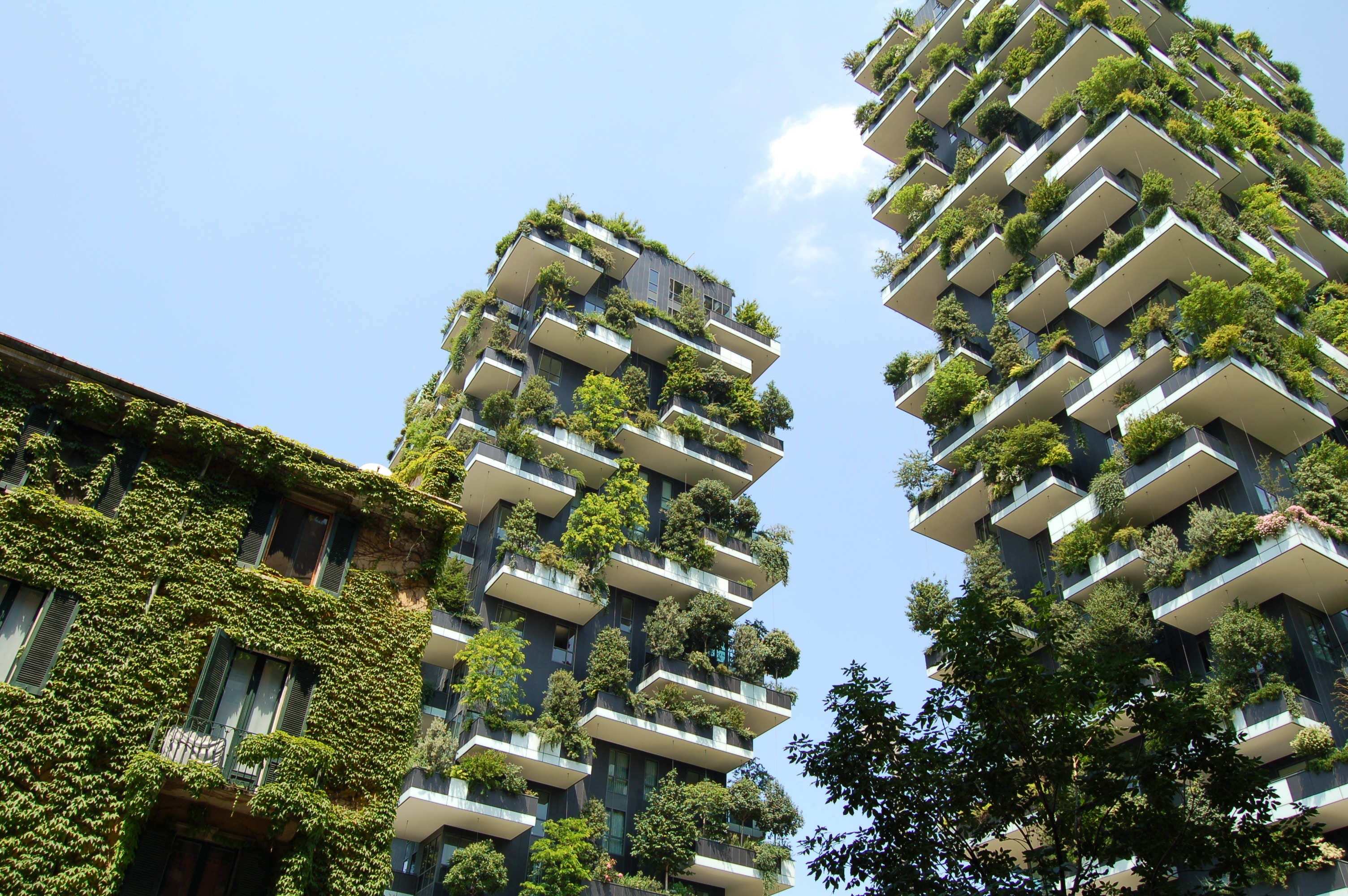 Is your building project ready for 2025? Let’s unpack the new EU energy efficiency regulations
