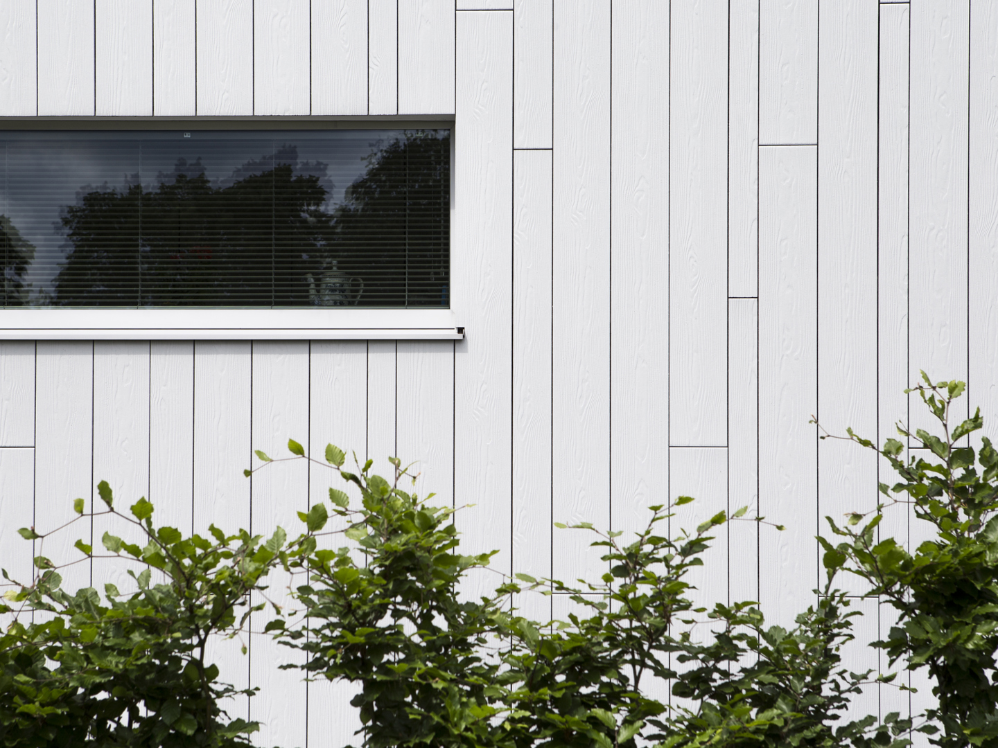 Eternit Qualität trifft Cedral Innovation