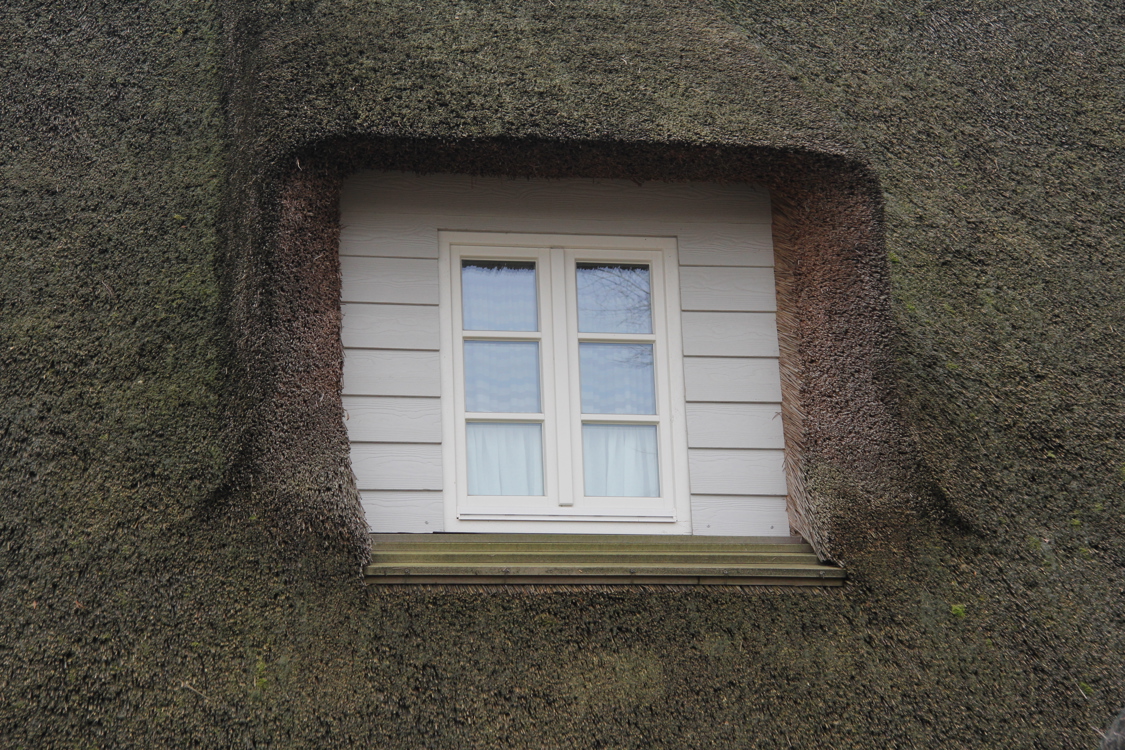 Gaube mit Cedral Fassadenpaneelen