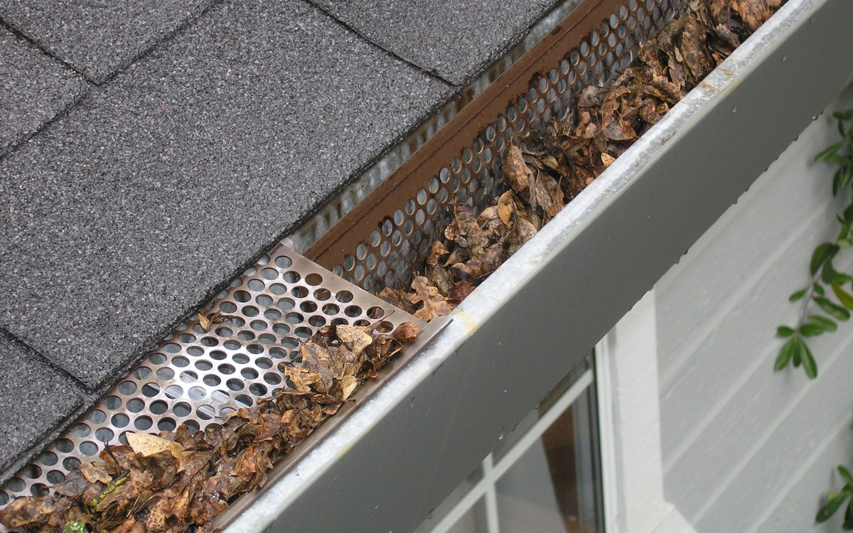 Verwijder afgevallen bladeren uit de dakgoot. Let op mogelijke vochtige plekken onder uw goten en regenpijpen.
