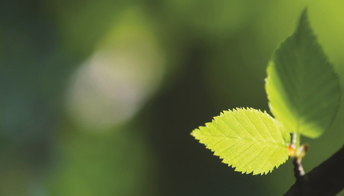 Achieving A+ ratings in the BRE Green guide