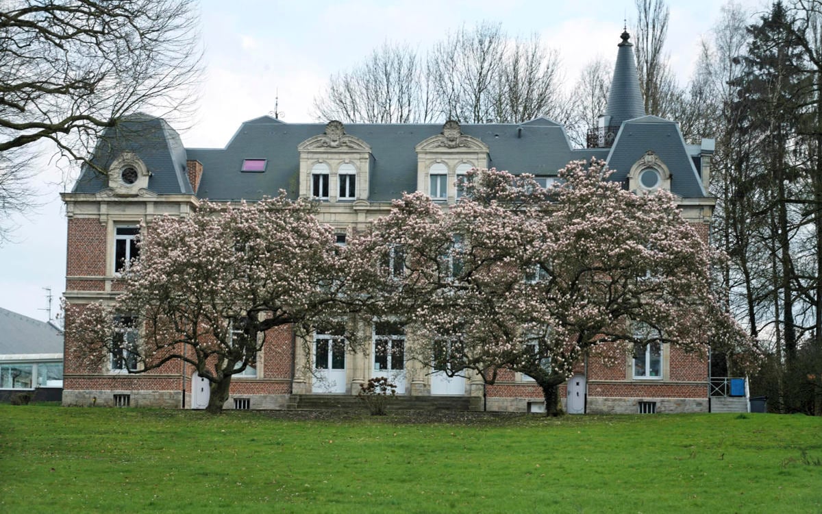 Château ardoise de toiture Cedral