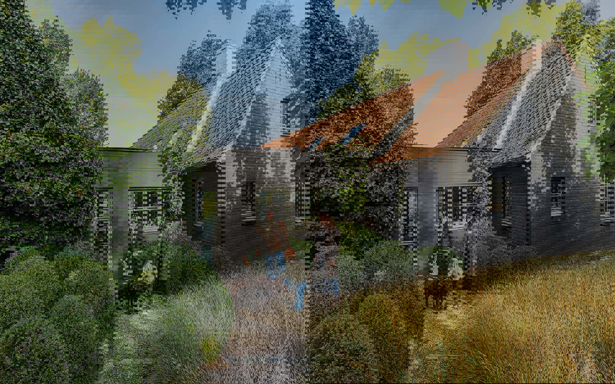 Reference image