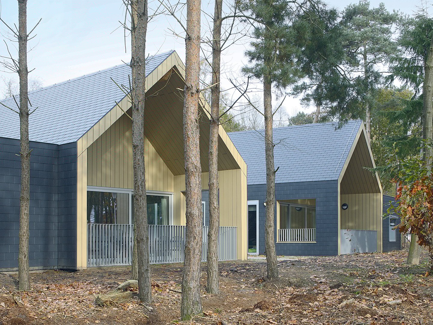 Płytka New Stonit Cedral na dachu domu jednorodzinnego
