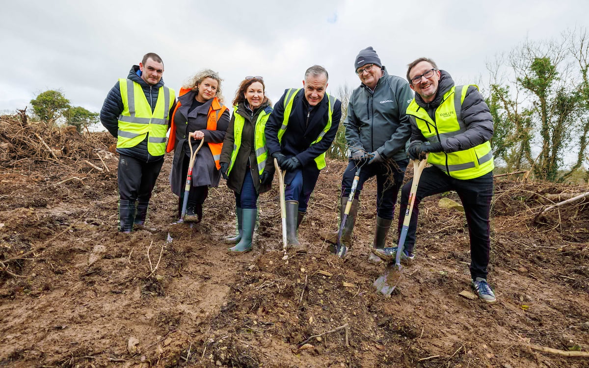 Group photo of GI Forest