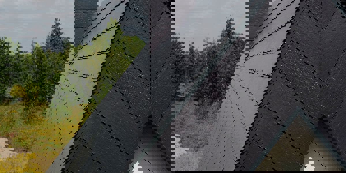 Omakotitalo Vilnius11/14