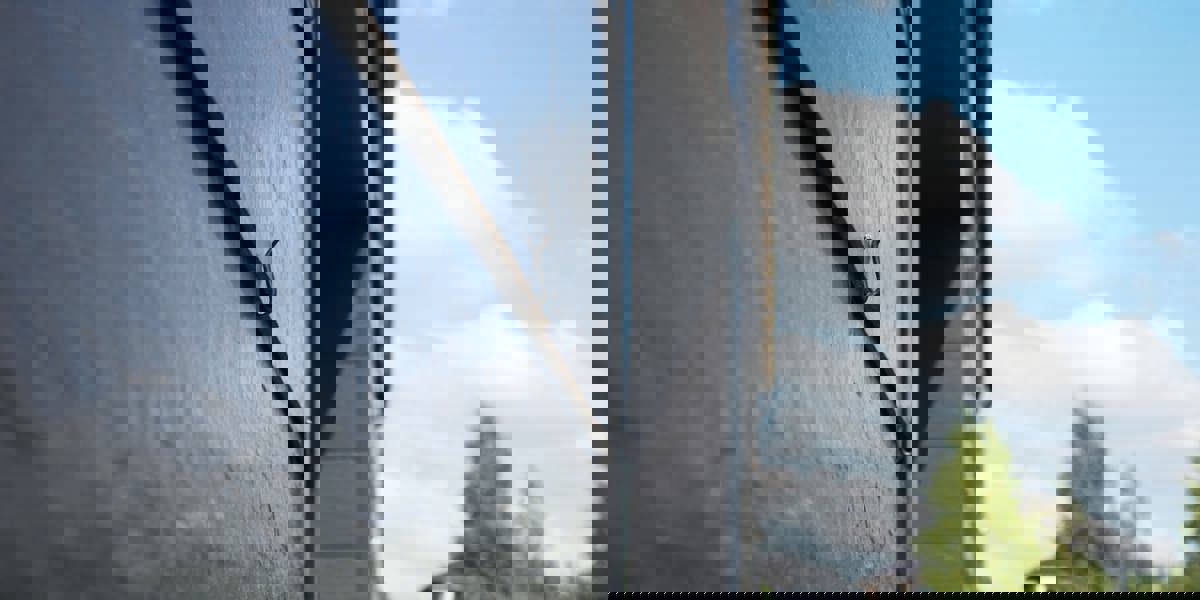 Omakotitalo Vilnius2/14