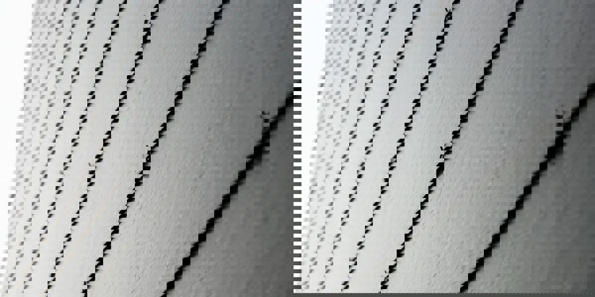 Kesämökki Gargžduose8/15