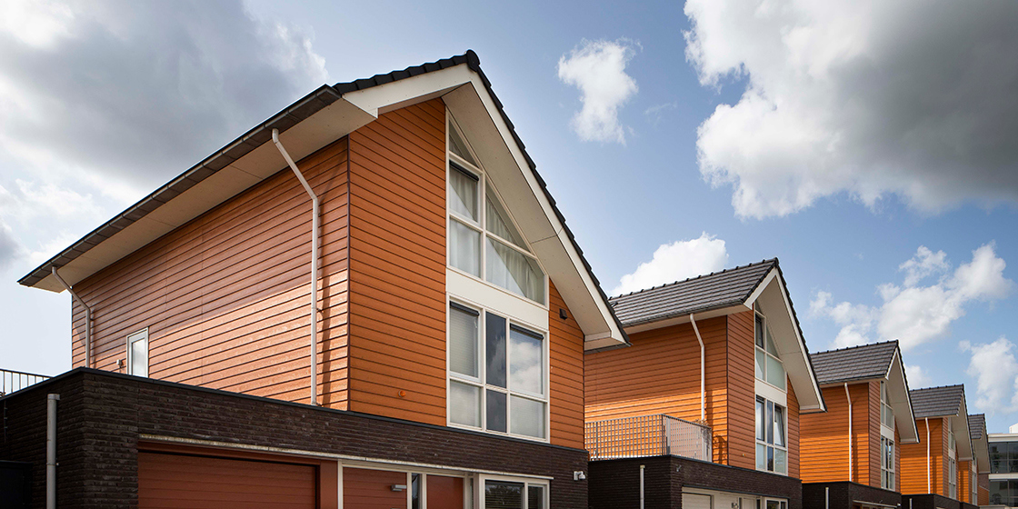 Brielle NL Cedral Lap Wood custom colour