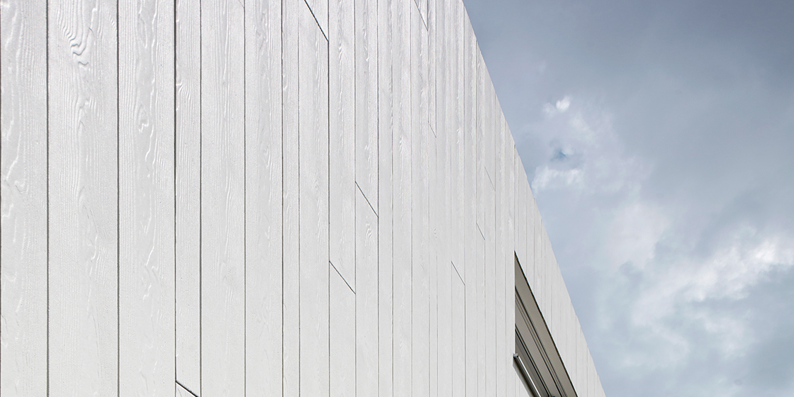 Lommel BE Cedral Lap Wood C01