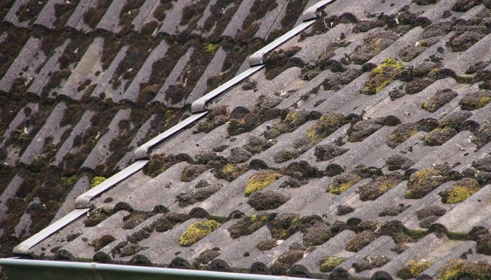 Hoe dakpannen vervangen door leien?