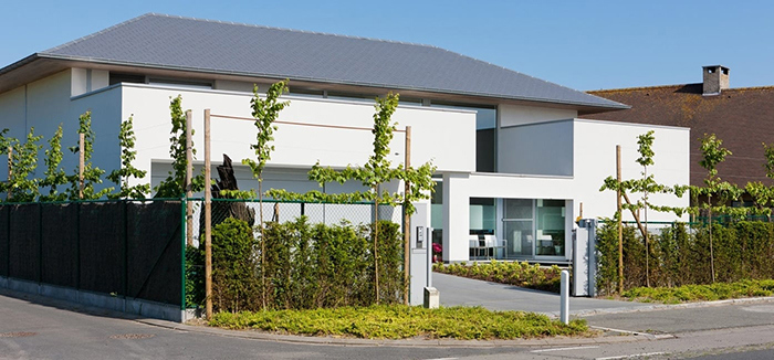 Cedral Boronda
