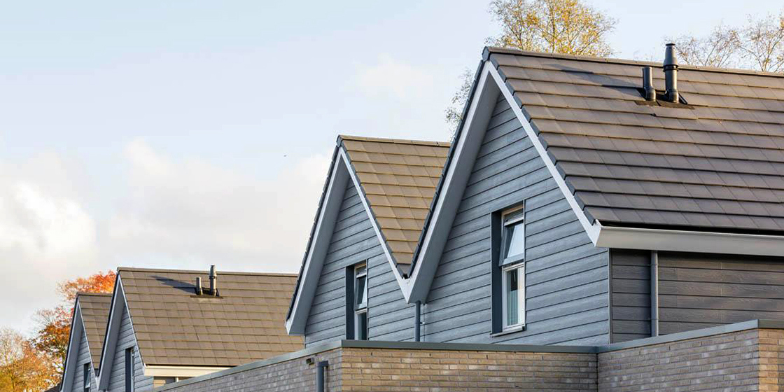 Vledder NL Cedral Lap Wood C54