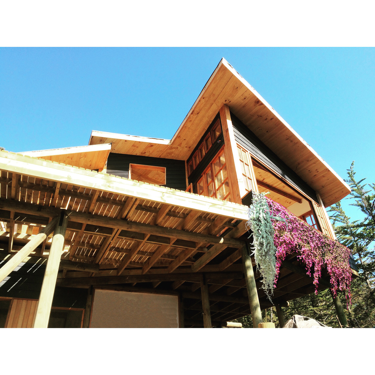 Vivienda privada en altura con estética madera4/4