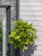 Cedral Click tongue and groove wood effect fibre cement cladding